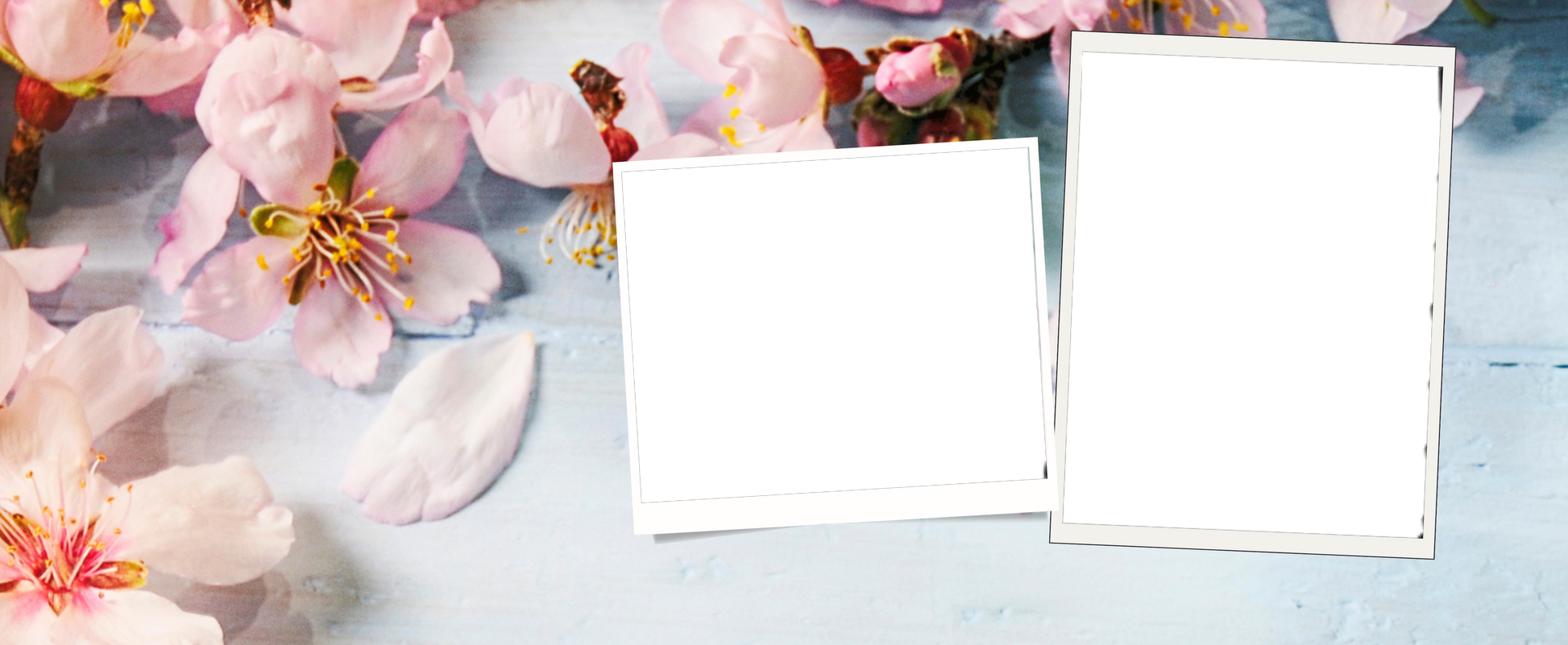 2 panel decorative Mug by Luxe-Custom-Designer