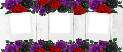 Rose 3 Image Photo Mug by Luxe-Custom-Designer