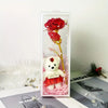 Charming Bear Rose Gift Box by Luxe-Custom-Designer