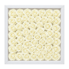 Cream1