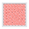 Light Pink1
