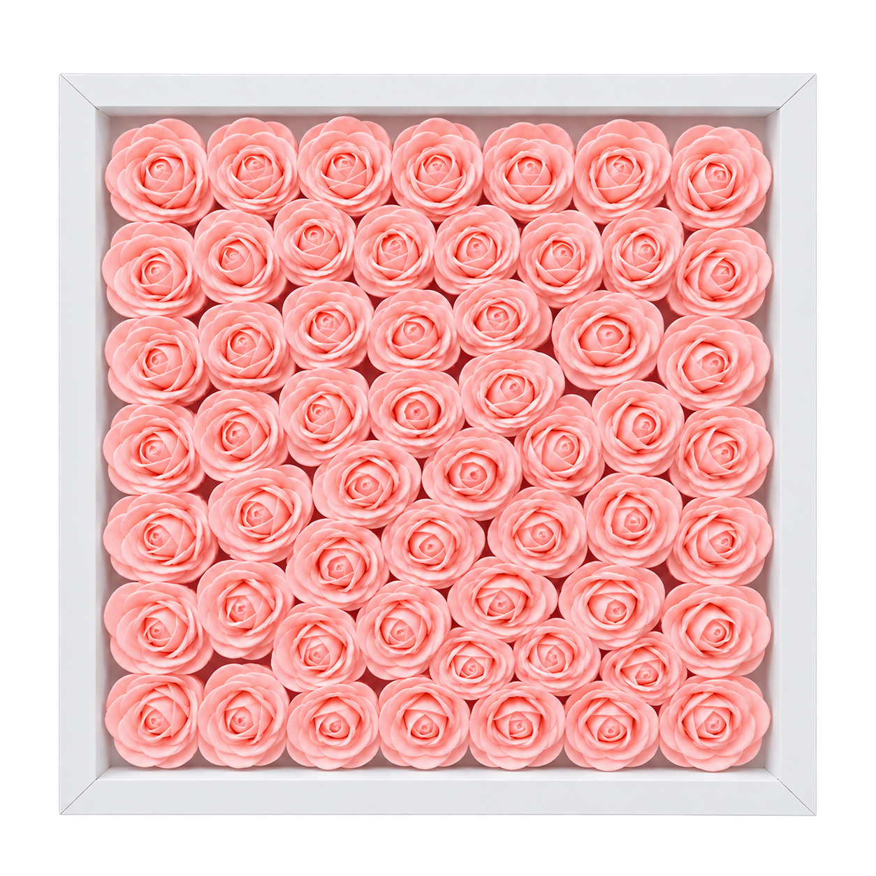 Light Pink1