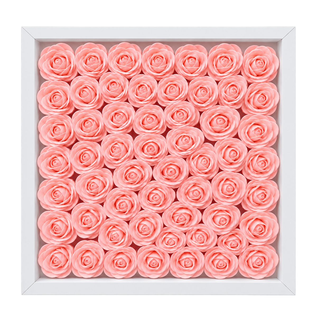 Light Pink1