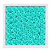 Turquoise1