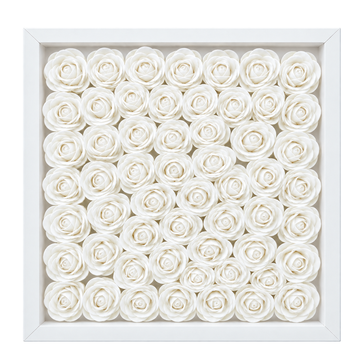 White1